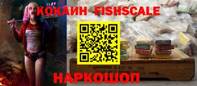 крисы Партизанск