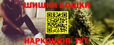 крисы Партизанск